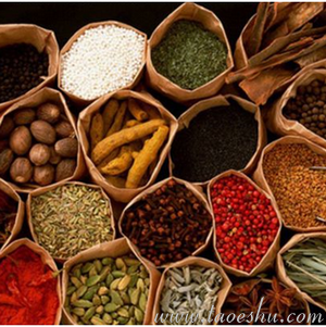 〖创富工程〗调味品系列生产技术汇编